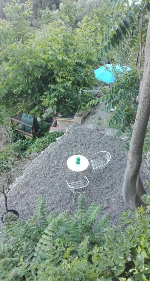 Cinque Terre Sea View Apartment Vernazza Bagian luar foto