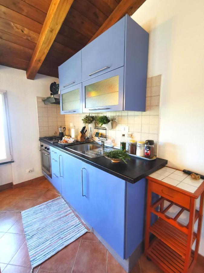 Cinque Terre Sea View Apartment Vernazza Bagian luar foto